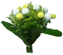  Egypt Flower Egypt Florist  Egypt  Flowers shop Egypt flower delivery online  Egypt:BING BONG BOUQUET